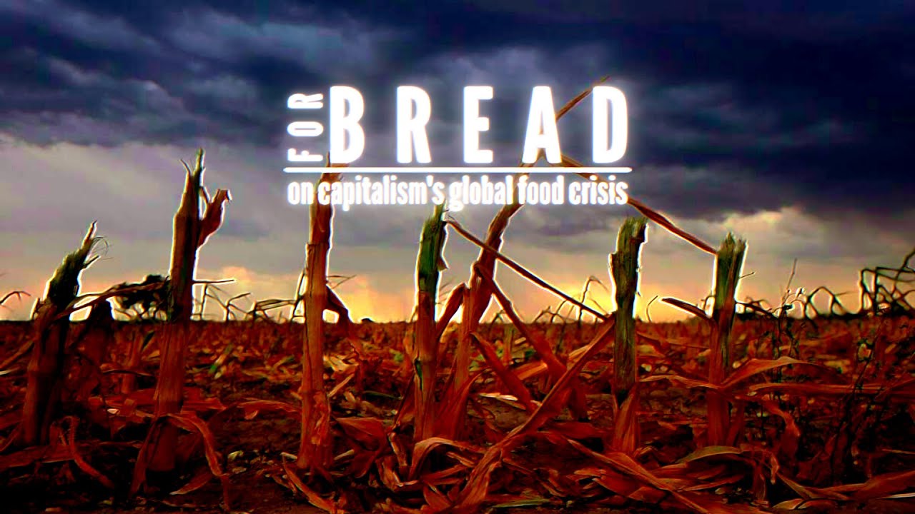 For Bread: on capitalism's global food crisis