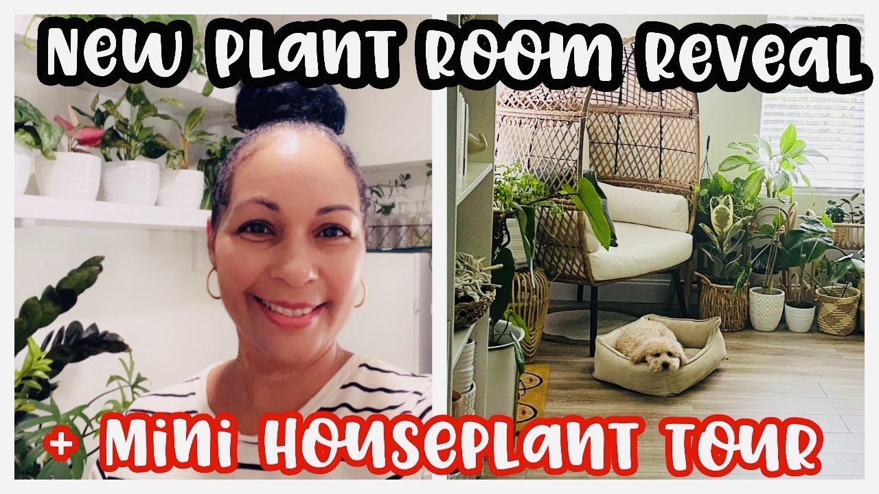 New Plant Room Reveal Part 2 || MINI HOUSEPLANT TOUR