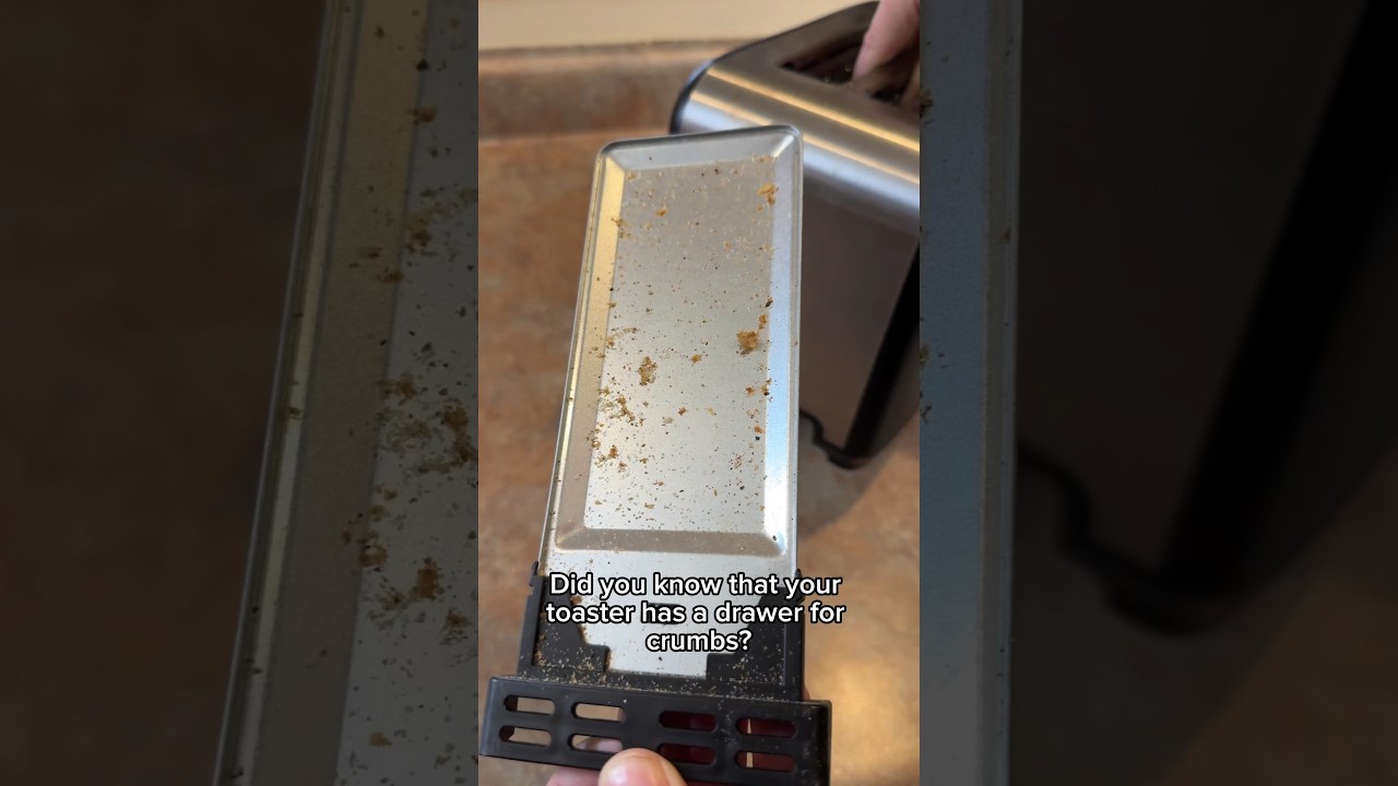 Did You Know Your Toaster Has Crumb Drawer? | Day 1 Spring Cleaning Spree 2024 #cleaning #home