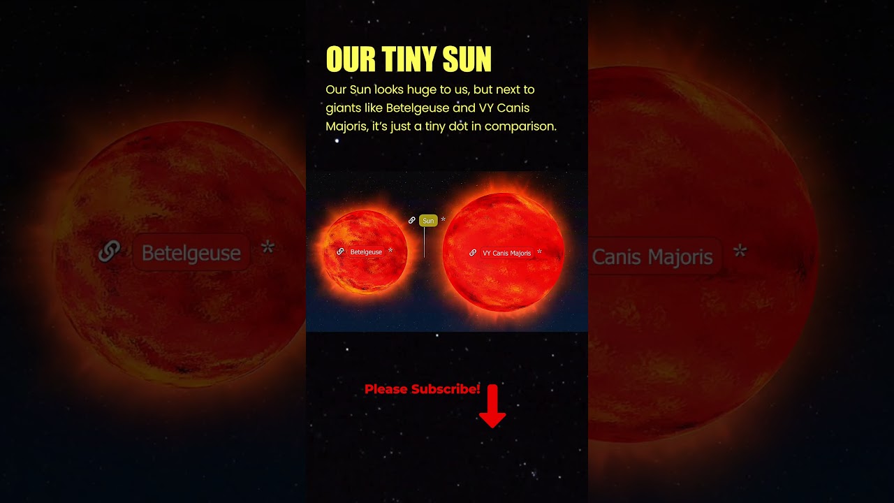The Sun vs. Betelgeuse vs. VY Canis Majoris &ndash; Cosmic Giants ☀️🌟  #space