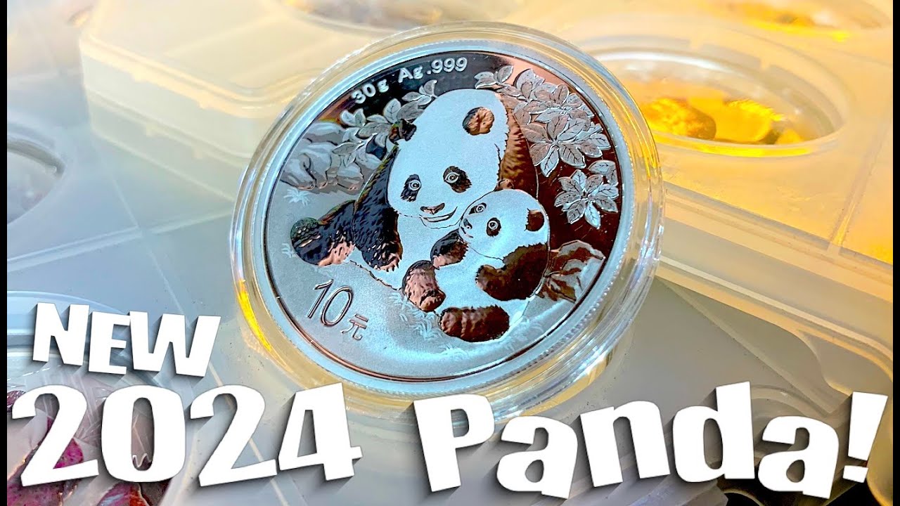 Brand new 2024 Chinese Panda silver coin! ... a MINI series within this MASSIVE series?