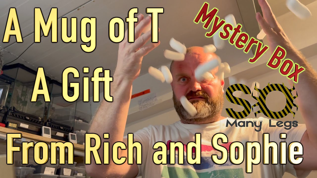 A Mug of T - So Many Legs Unboxing