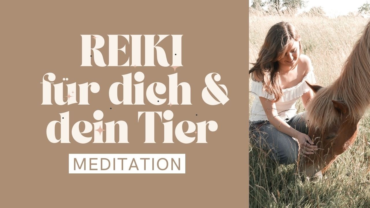 Tierheilung | Tierenergetik | Heilenergie für dein Tier