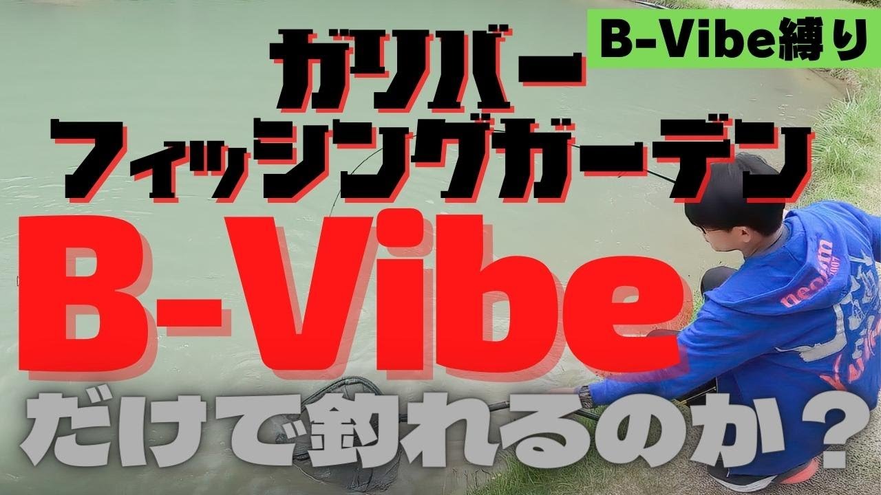 引き出しを増やせ！『B-Vibe』縛り！B-Vibeだけで1日釣れ続くのか？ガリバーフィッシングガーデンさん