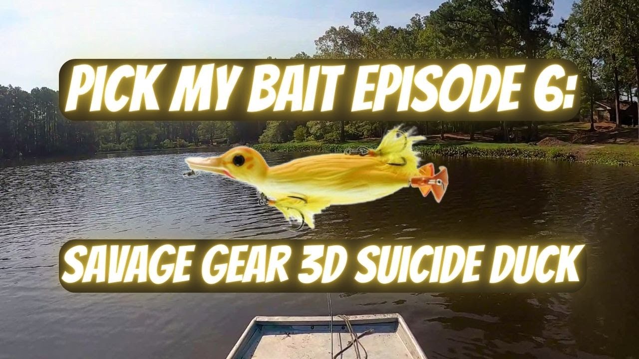 Pick My Bait Episode 6: Savage Gear 3d Suicide Duck
