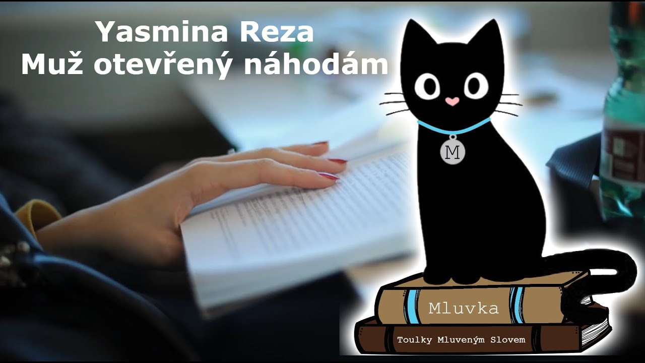 Yasmina Reza - Muž otevřený náhodám (Mluvené slovo CZ)