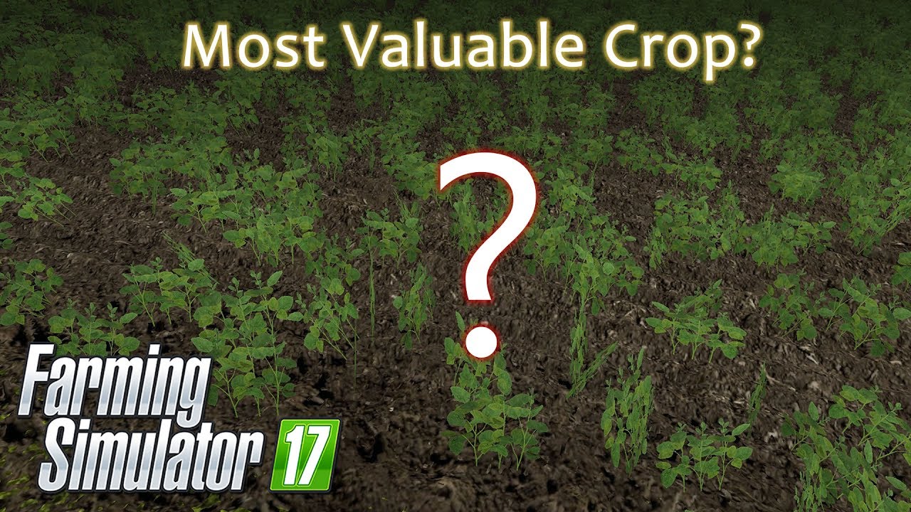 Farming Simulator 17 - Most Valuable Crop Award