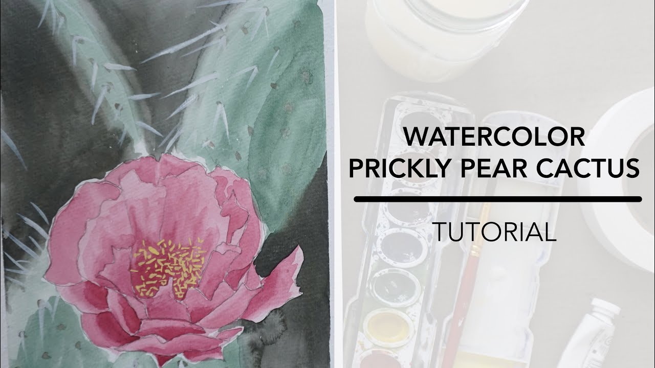 How to Draw and Paint a Prickly Pear Cactus Flower in Watercolor
