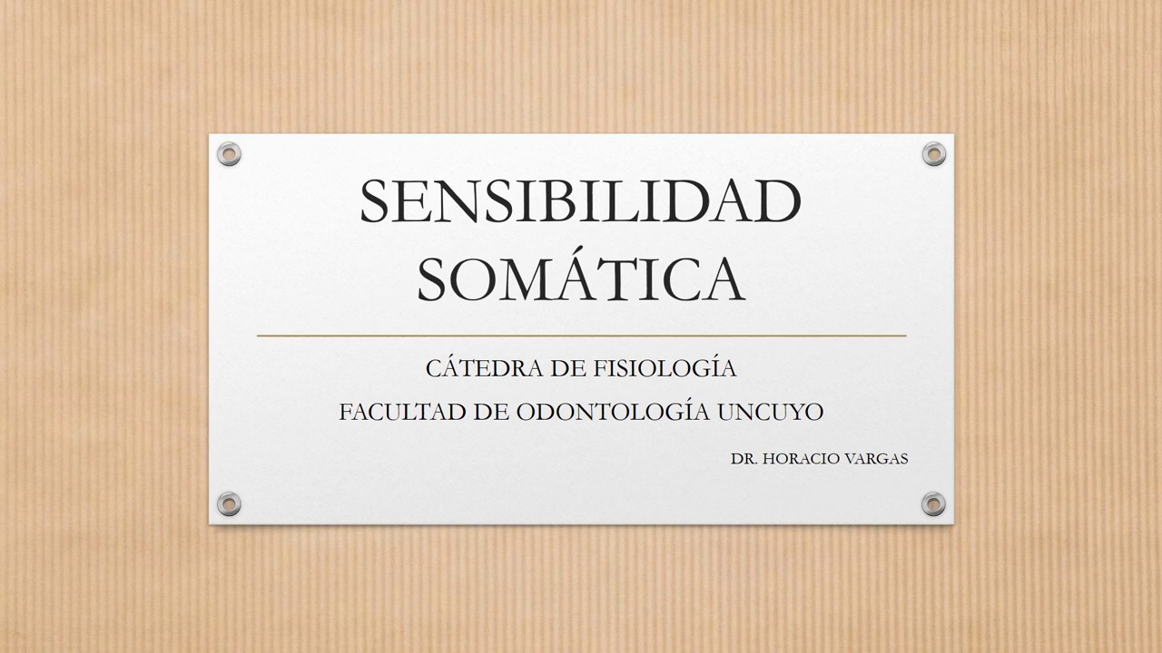 SENSIBILIDAD SOM&Aacute;TICA definitivo