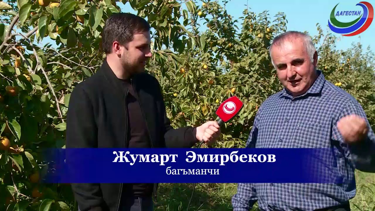 «Вахтар ва инсанар»