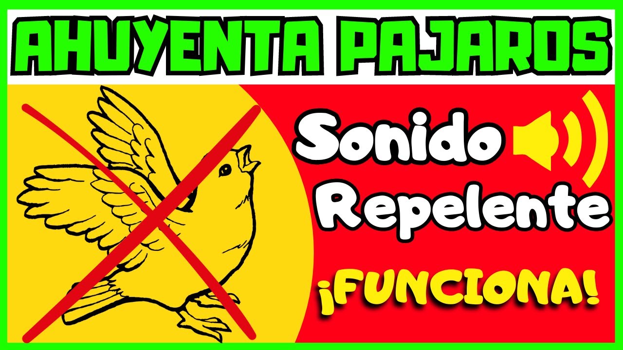 Sonido Para Ahuyentar Pájaros, Aves 🚫🐦Anti Repelente De Pájaros 10 HORAS🕑