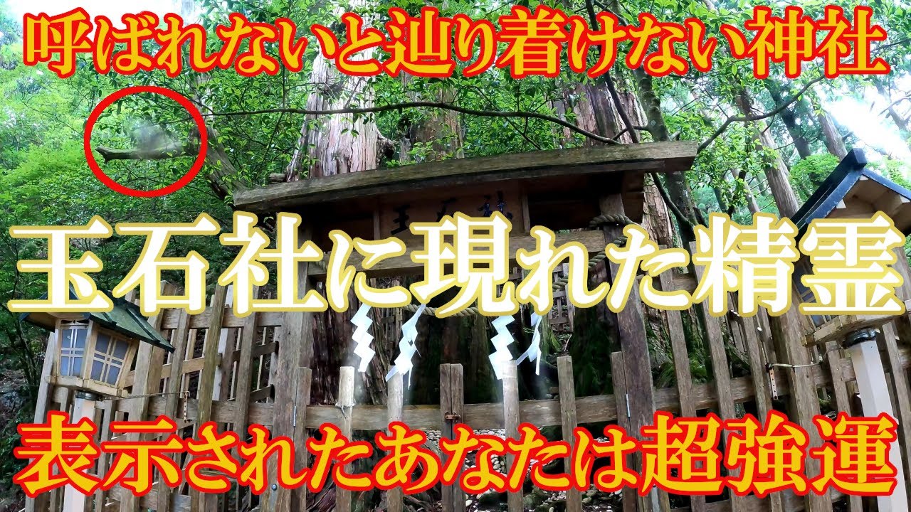 【熊野三山奥の院 玉置神社】※表示されたあなたは超強運※神様に呼ばれないと辿り着けない神社に現れた龍神様と精霊のお姿をお見せします｜遠隔参拝#70｜Tamaki Shrine Japan