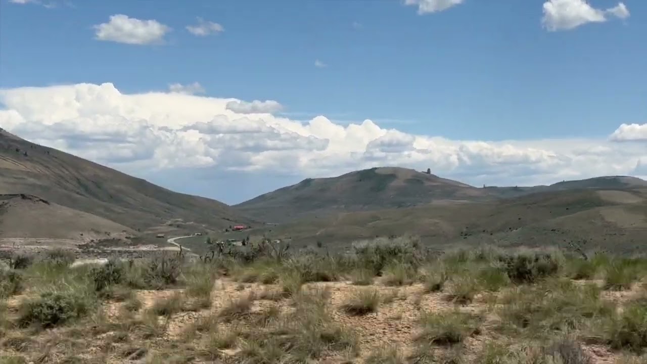 Herd Quitter® Minute - Wild Country