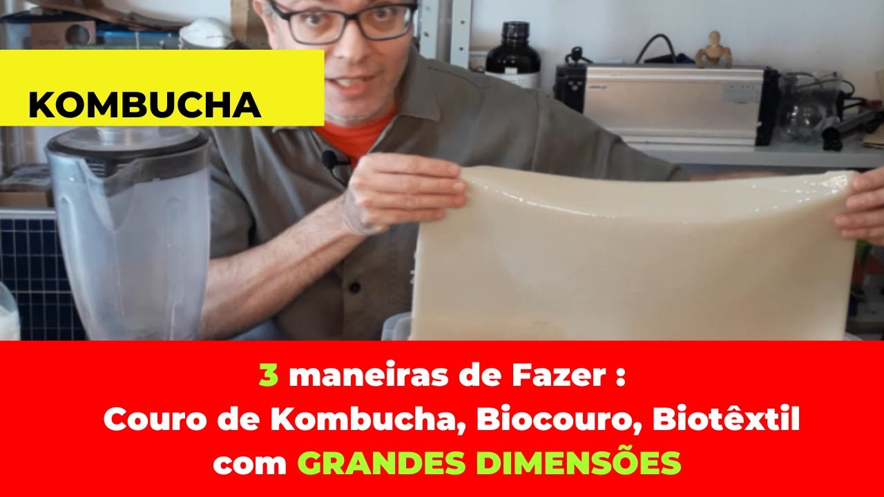 Kombucha : 3 formas de fazer couro de Kombucha de GRANDES DIMENSÕES