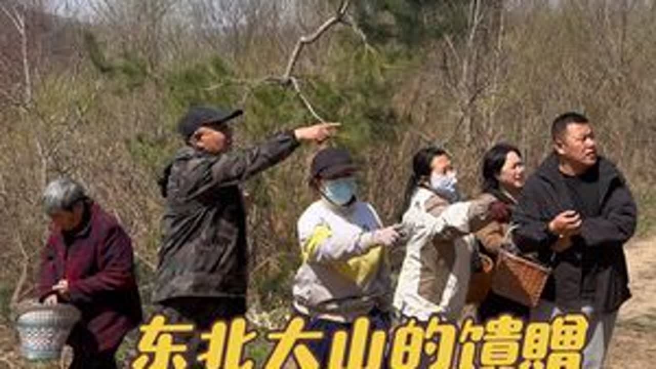 东北都有什么山野菜可以涮火锅 #记录我的农村生活 #新农人计划2025 #山野菜 @DOU+小助手