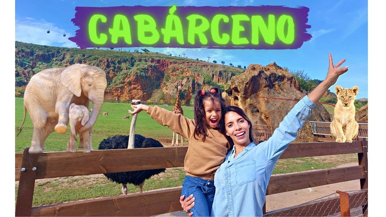Así es CABÁRCENO/ ideal para los niños🐯🦒🙊  #animals #cantabria #nature
