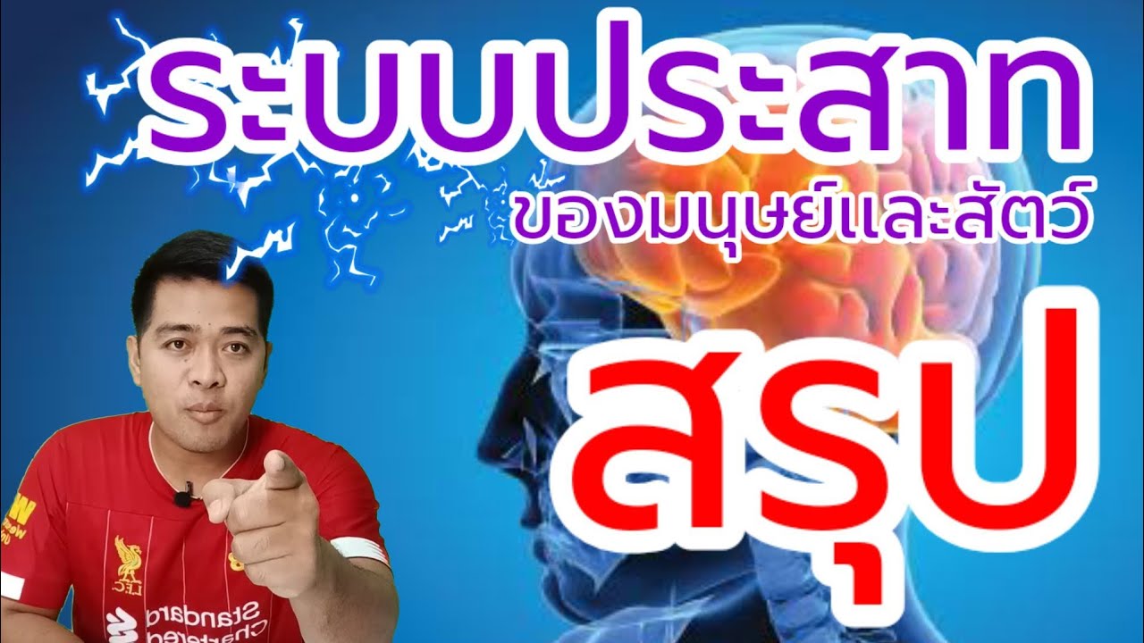 ระบบประสาทของมนุษย์เเละสัตว์ | วิทย์พื้นฐาน ม.2