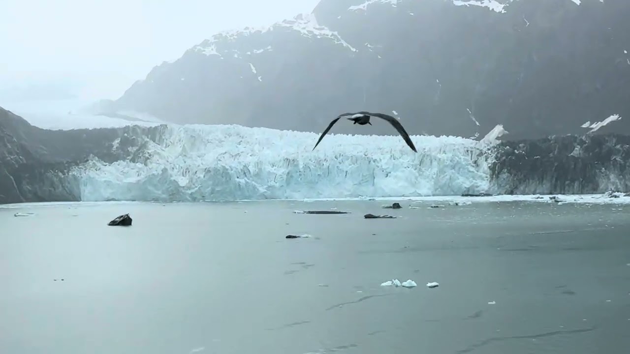 2025 Alaska Cruise (Norwegian Joy 5/21 - 5/30)