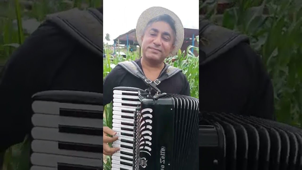 Zé Hilton do Acordeon - Parte da minha vida ( Petrúcio Amorim ) #saojoao #sanfona