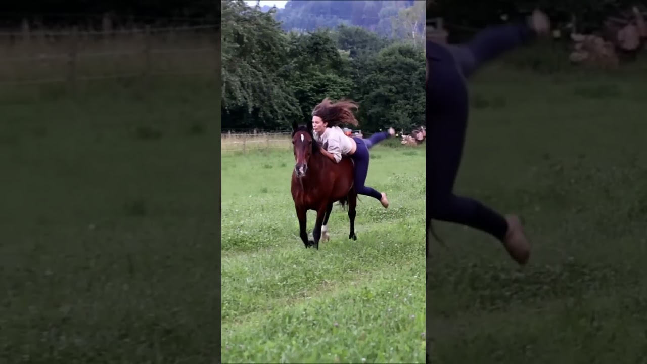 Estella macht sich bereit f&uuml;r    🤩    Die pferdische Hauptrolle der Kinoproduktion  Ponyherz