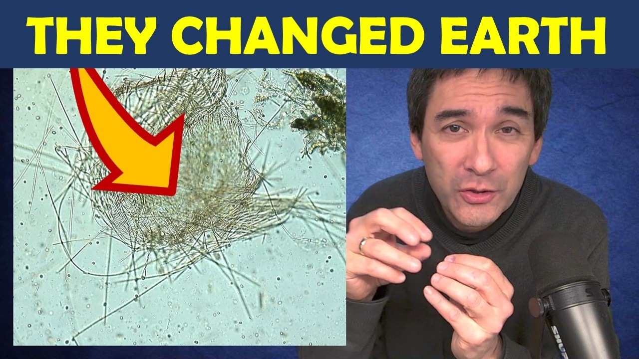 🔬 How These Microbes Caused a Natural Disaster (a long time ago)