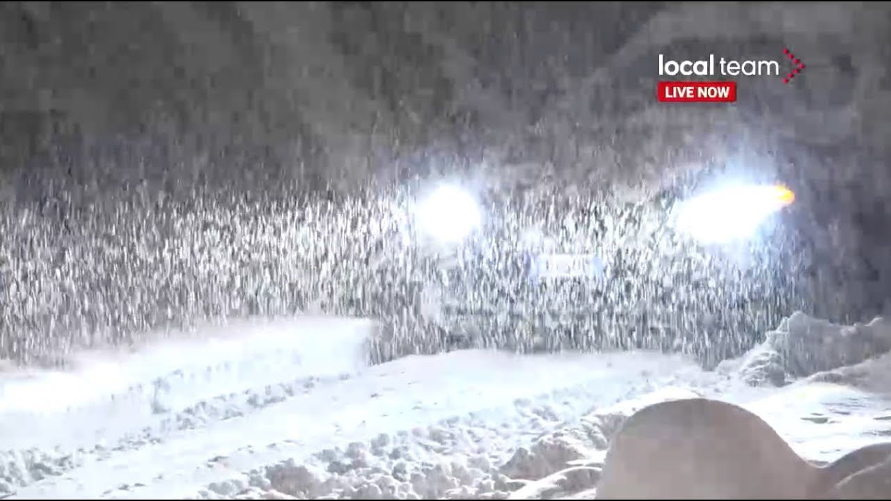 Prosegue la forte nevicata in corso sulle Alpi. Qui Livigno: diretta video
