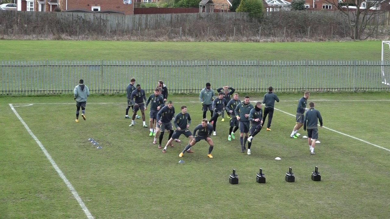 Training Warm Up