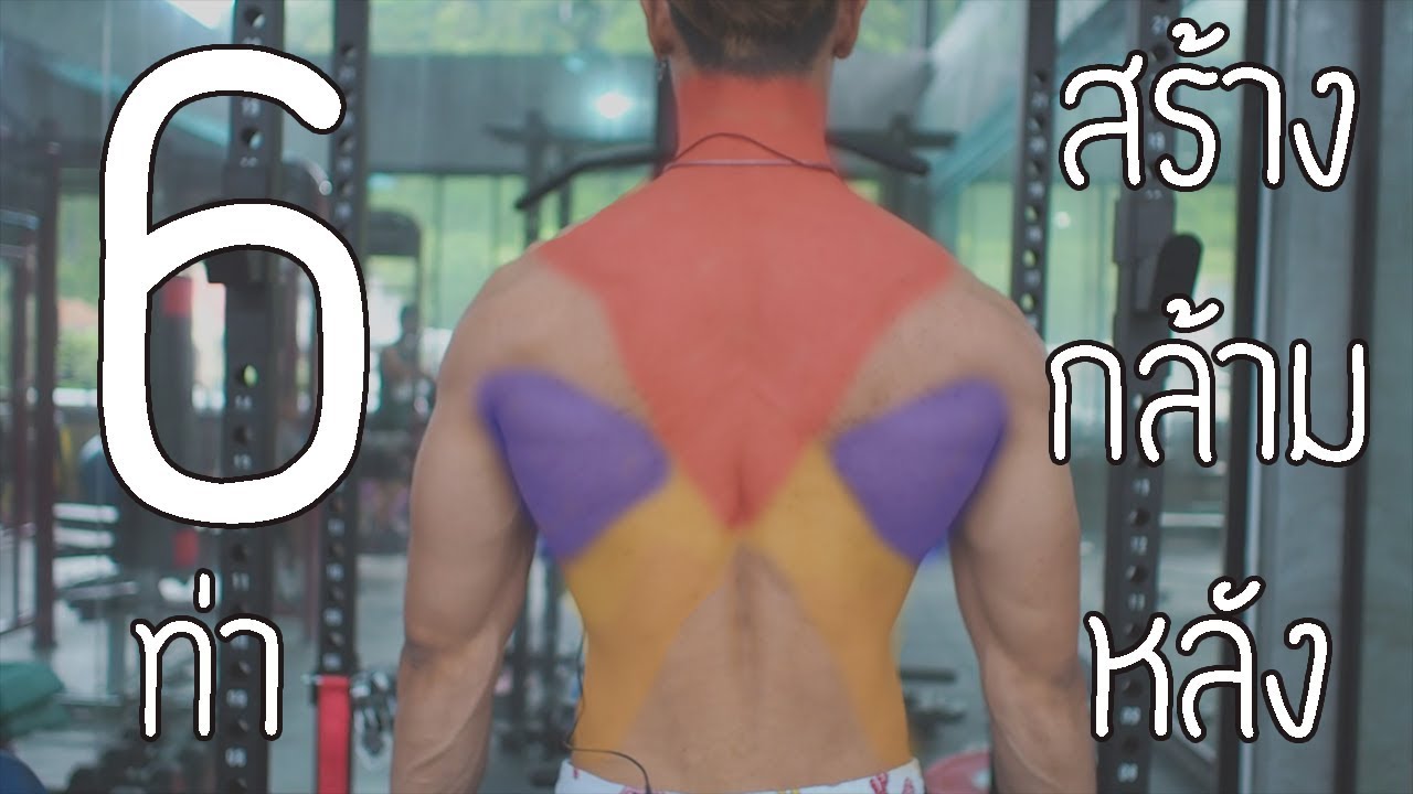 6 ท่าสร้างกล้ามหลัง [Back Workout]