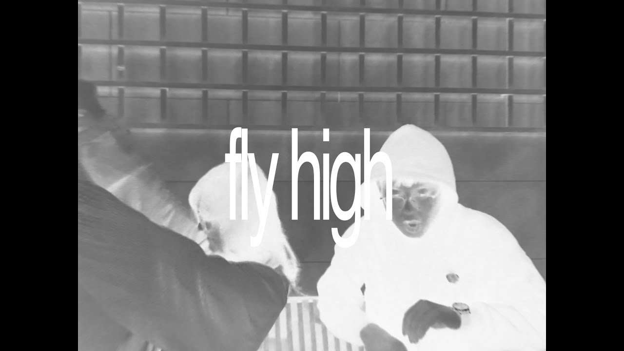 Poppy Pyonn x Vannex - FLY HIGH (Официальный музыкальный клип)