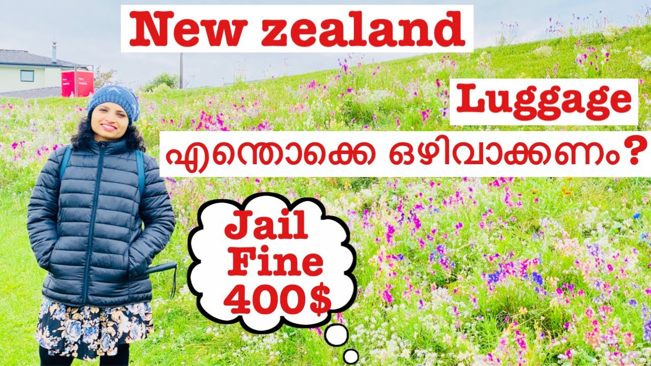 New Zealand luggage packing what to bring, what to avoid |എന്തൊക്കെ കൊണ്ടുവരാം?pasenger arrival card