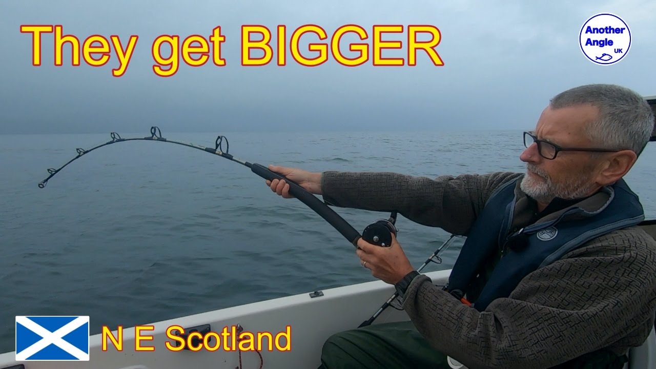 Will the Rod handle this MONSTER?  Skate fishing North Sea : Scotland : Orkney Coastliner 14