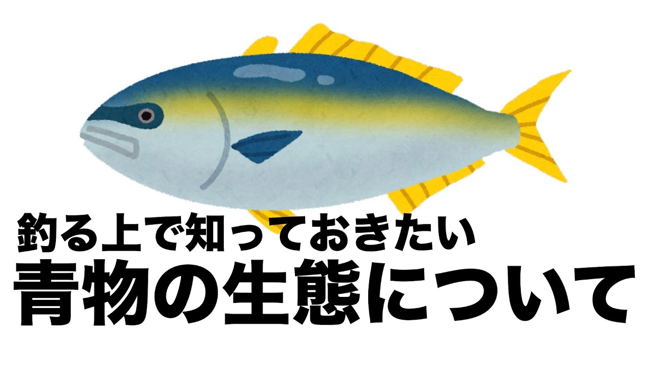 謎の生物　青物の生態