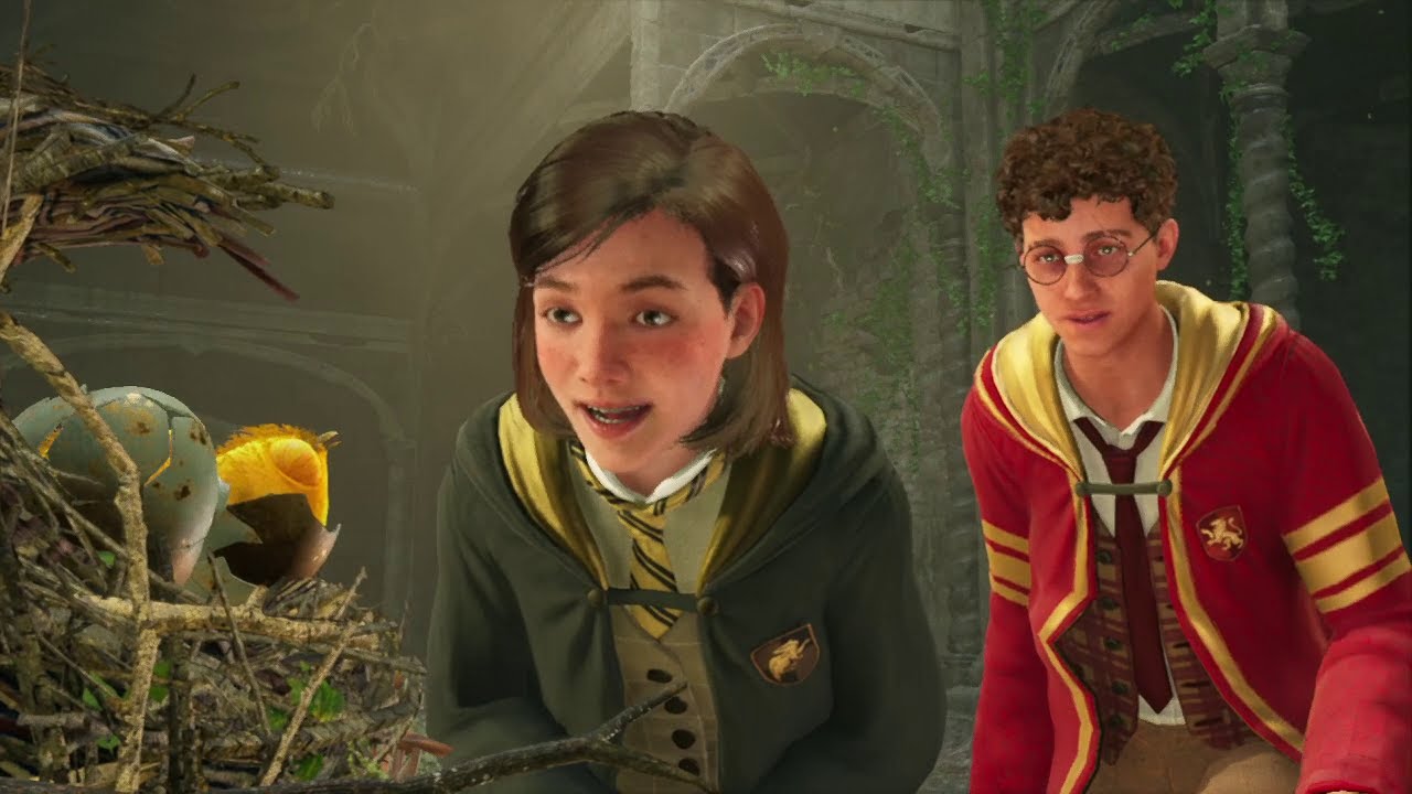 How to Open the Gilded Perch Door: A Bird in the Hand PILLAR PUZZLE Solution! HOGWARTS LEGACY DAY 50