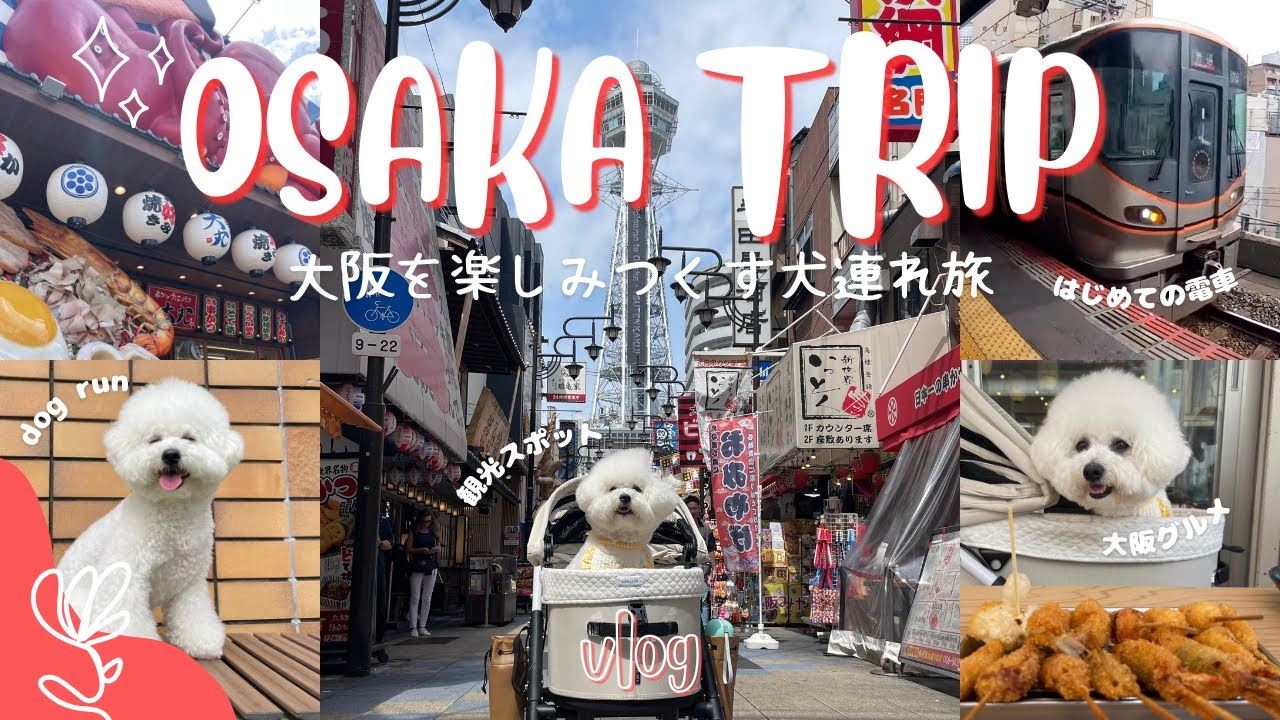 【大阪犬旅】犬も人も必ず大満喫！大阪を楽しみつくす犬連れ観光スポット🐙│犬連れ旅行vlog