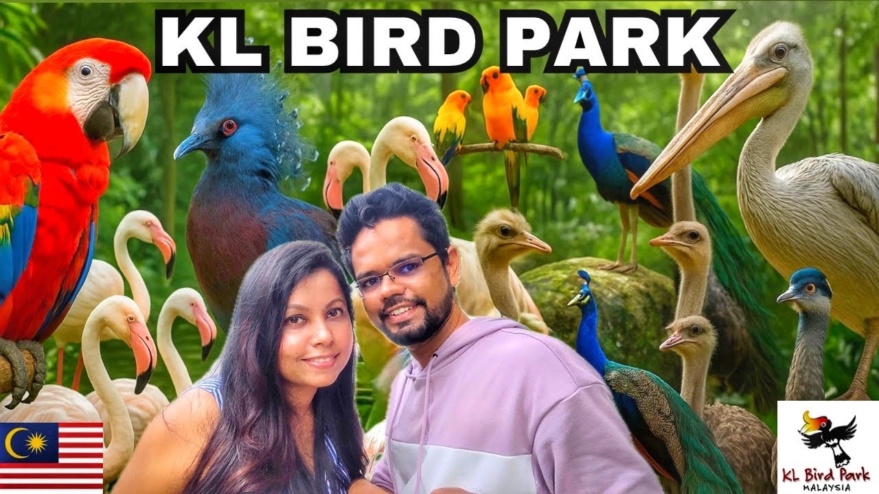 A Day at KL Bird Park | World’s Largest Free-Flight Aviary | Things To Do in Kuala Lumpur Malaysia