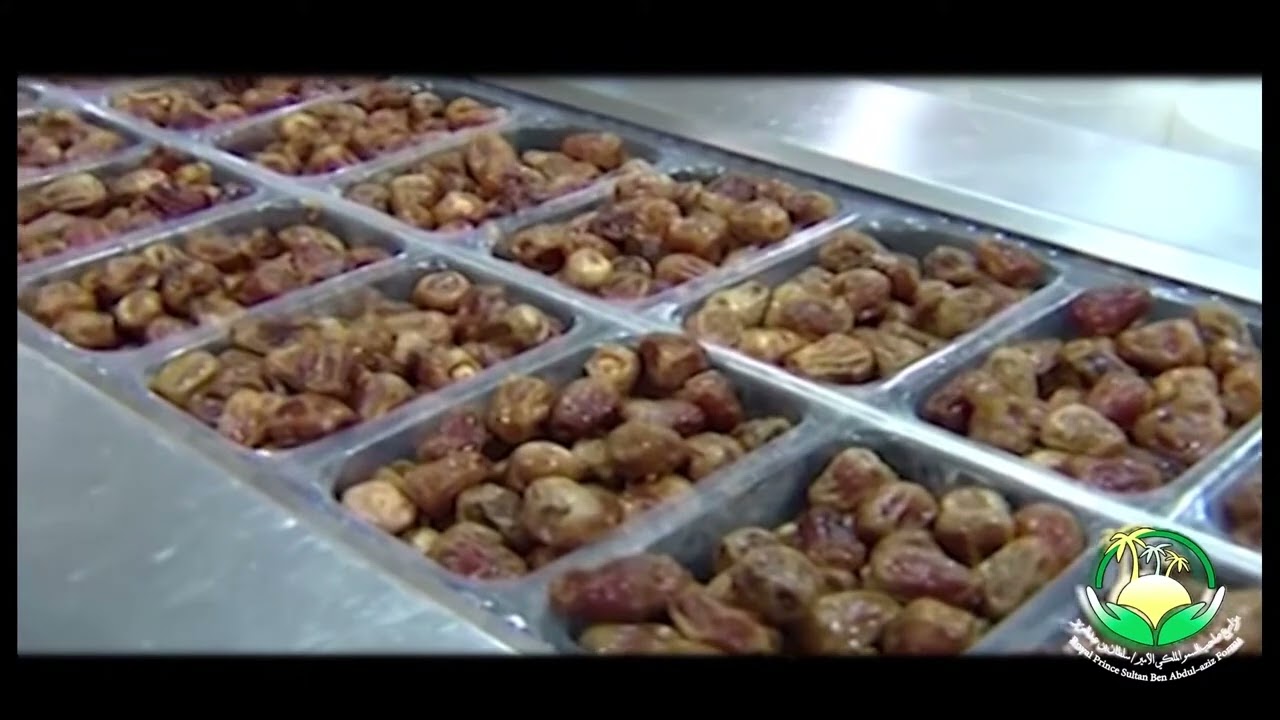 جنتان في قلب الصحراء المزهرة والوسيطى