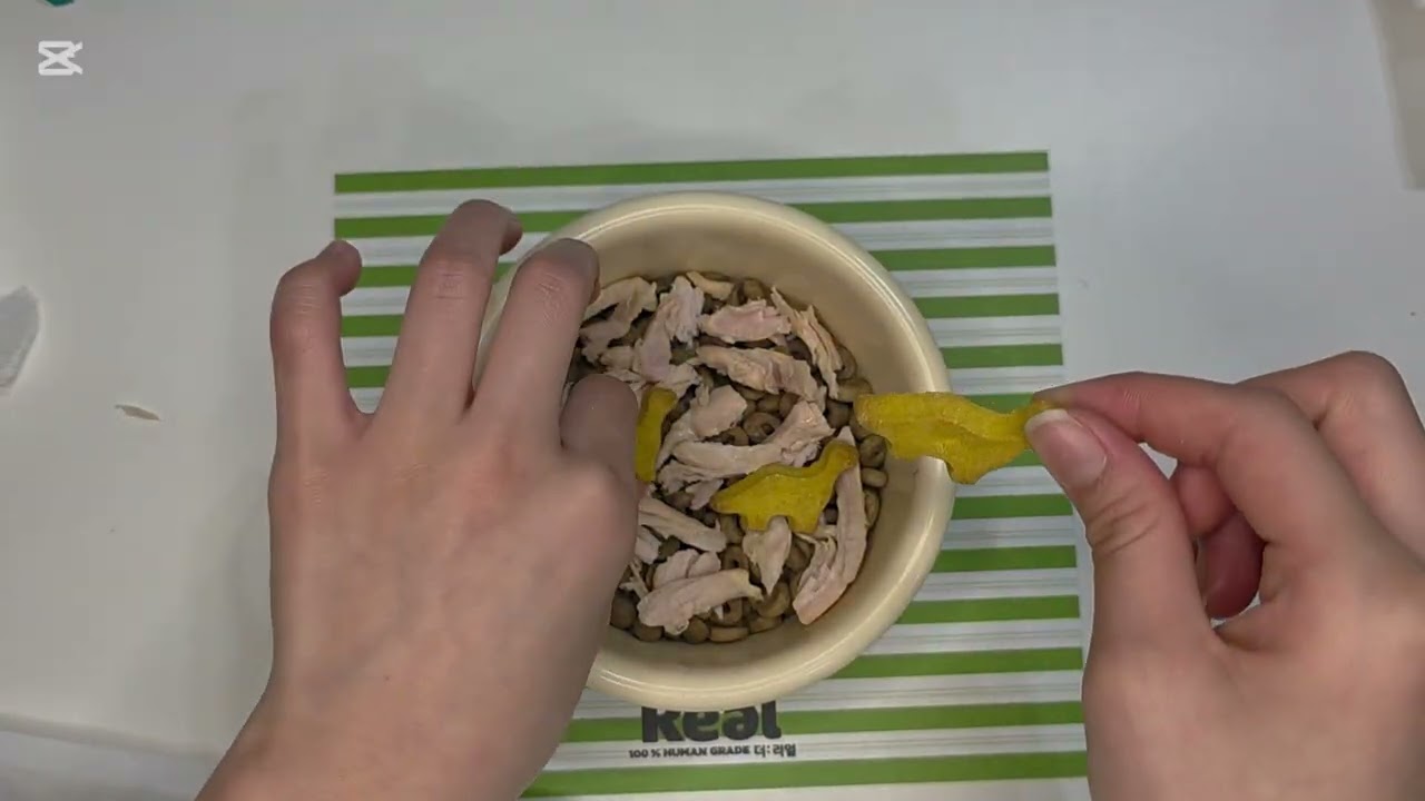 토리 밥 꾸미기    특식!!