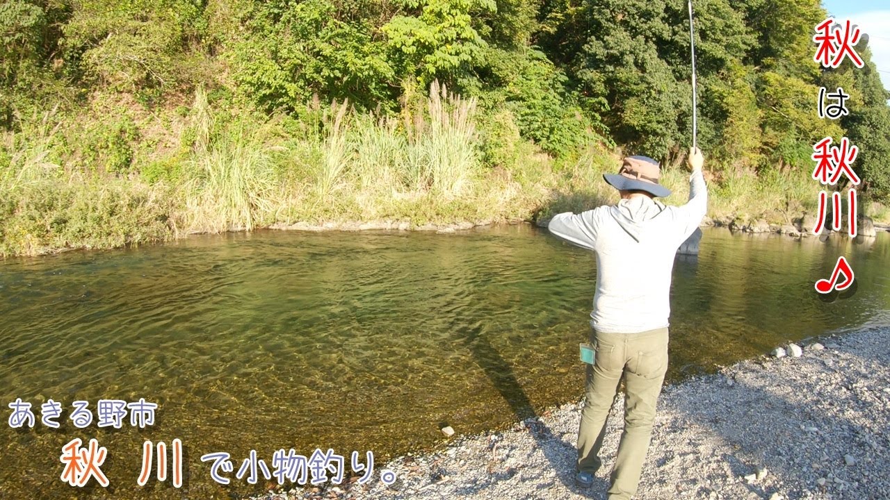 まだまだ清流でも楽しめます♪ 秋は秋川！ あきる野市 秋川で小物釣り。