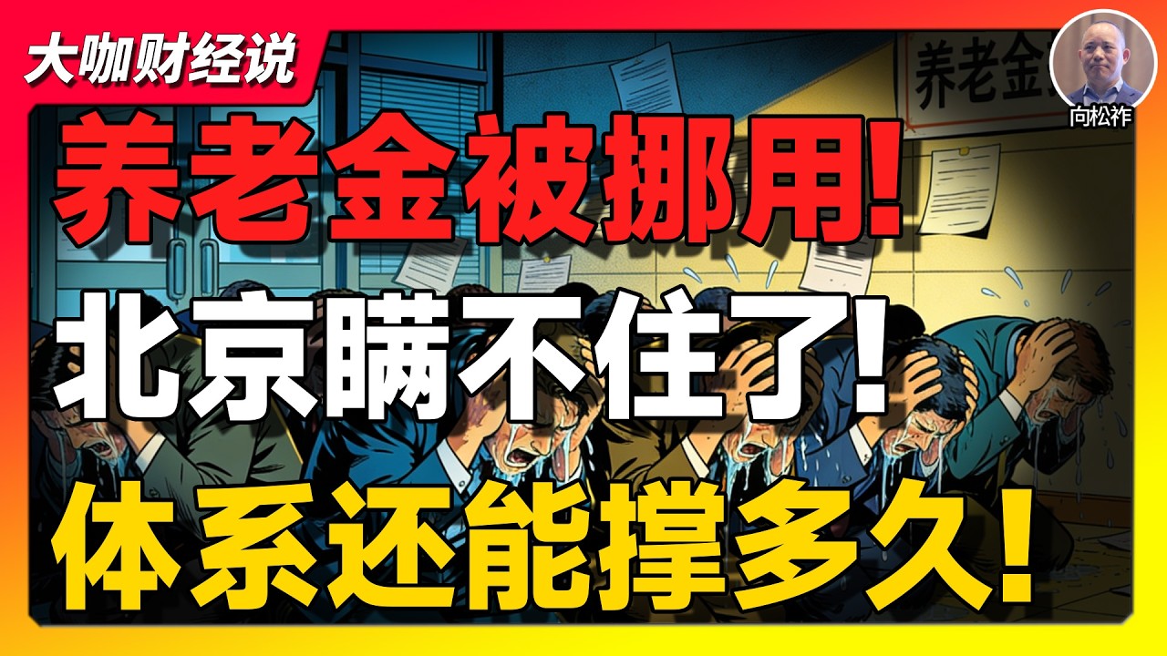 【向松祚重磅】养老金真相曝光：中国正在用农民的钱养&ldquo;体制内&rdquo;？这套体系还能撑多久？