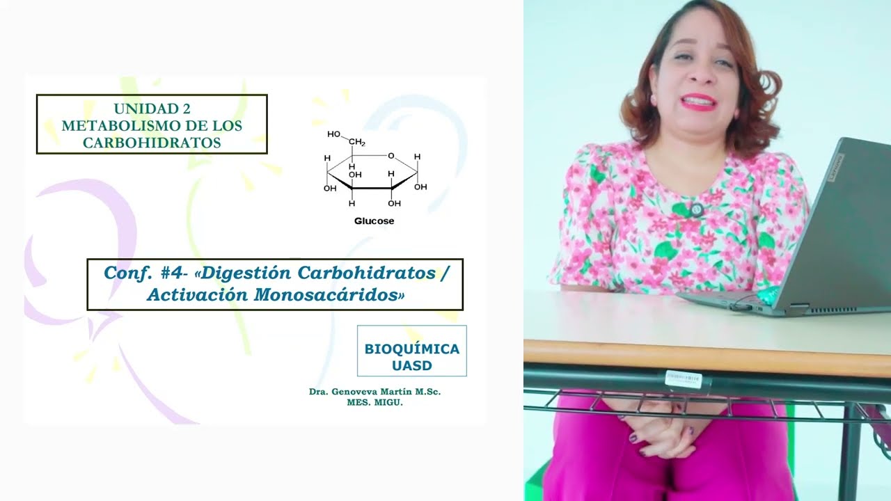 Metabolismo de los Carbohidratos explicado fácil | Bioquímica para Ciencias de la Salud