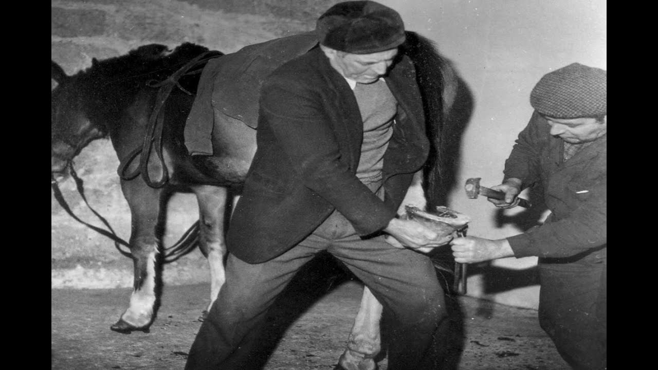 Nanni Svampa - Magnano