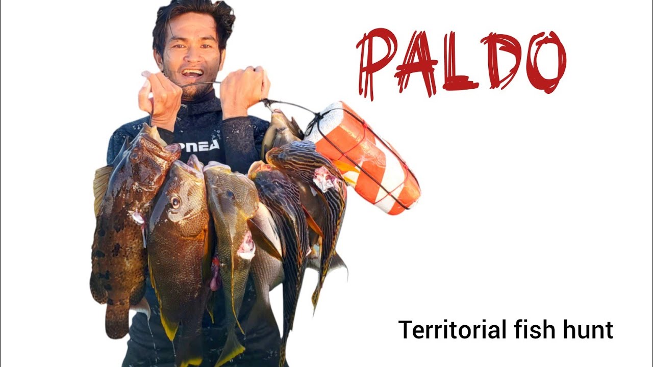 SPEARFISHING TERRITORIAL FISH ( Paborito ng Bayan (SURAN) 