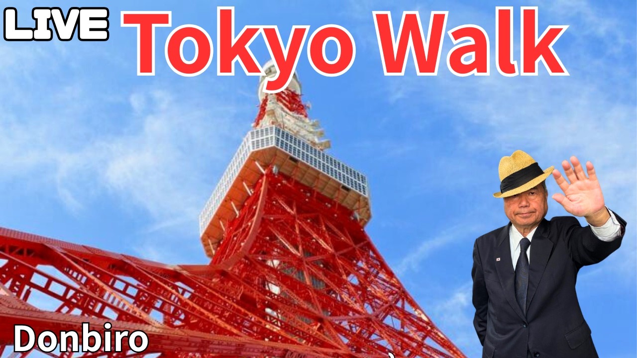 [東京散歩]東京駅から、東京タワー、東京駅まで歩く✨[Tokyo Walk] Walk from Tokyo Station to Tokyo Tower and back to Tokyo Stat