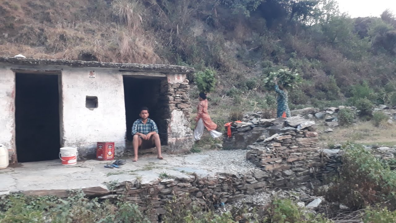 नौले/बावड़ी  के पानी को बढ़ाने पर कार्य