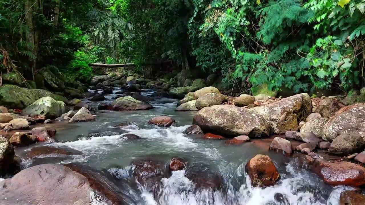 Pure Tropical River White Noise for Focus and Stress Recovery