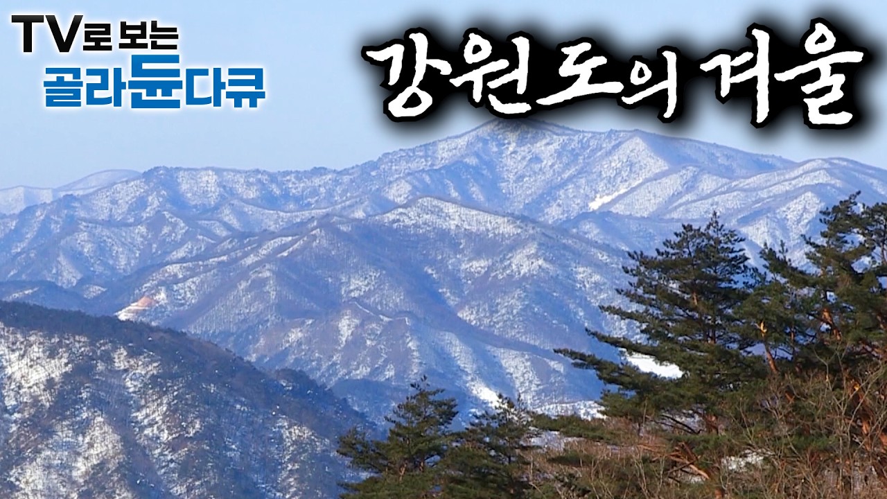 ❄️깊은 겨울이 찾아오는 곳. 고요함과 아름다움으로 가득한 강원도의 마을 ❄️｜1시간 몰아보기｜한국기행｜#tv로보는골라듄다큐