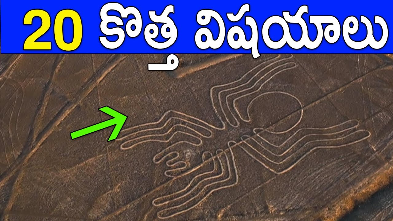 20 AMAZING FACTS IN TELUGU-7|UNKNOWN FACTS IN TELUGU|FACTS 4U|మీకు తెలియని 20 ఆశ్చర్యపరిచే నిజాలు
