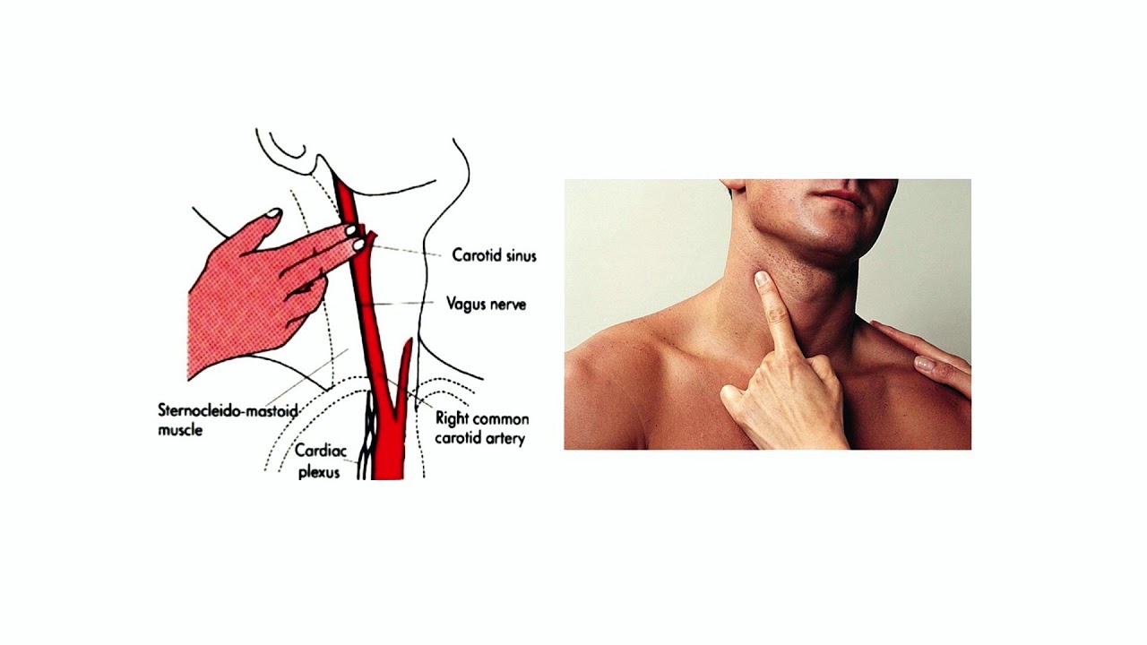 Cardiac Auscultation Made Easy (Heart Sounds), Prof. Khairy Abdel Dayem