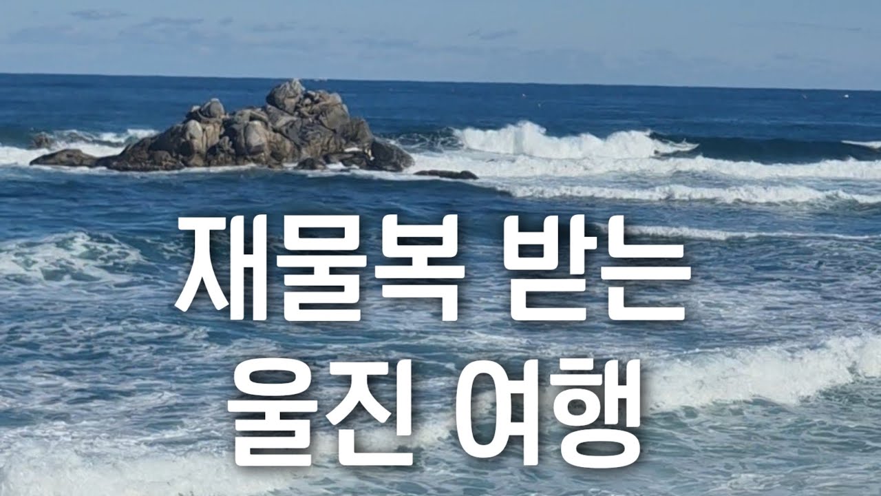 울진 해돋이부터 부엉이까지 좋은 기운 받으세요