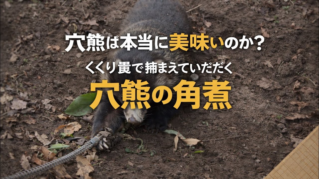 穴熊は本当に美味いのか